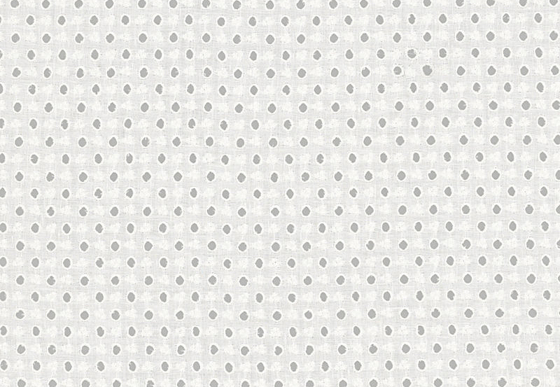Ткань Ralph Lauren White book LCF65457F