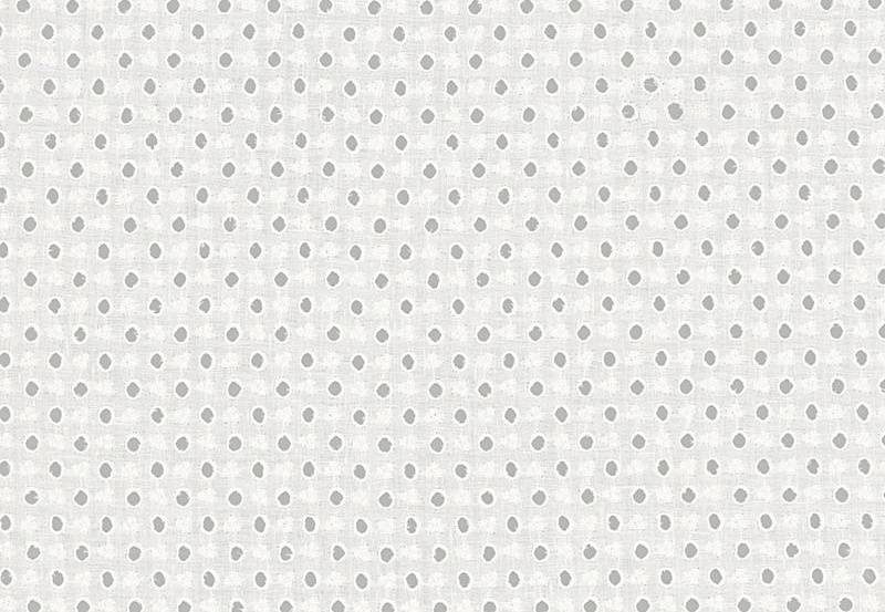 Ткань Ralph Lauren White book LCF65457F