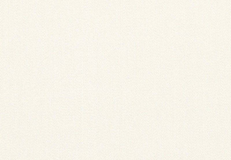 Ткань Ralph Lauren White book LCF65060F