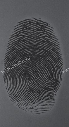 Панно и фотообои Marburg Identity 52452