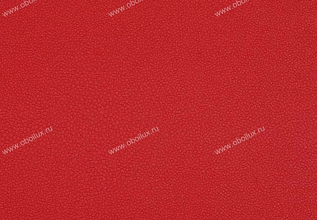 Обои Marburg Gloockler 52565