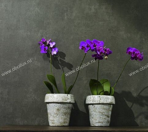Обои Marburg Wall Couture 52350
