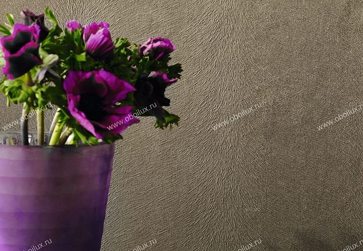 Обои Marburg Domotex New Style 53562