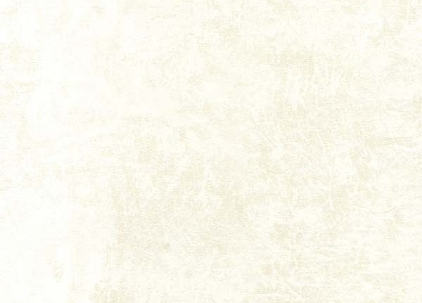Обои Marburg Domotex New Style 53504