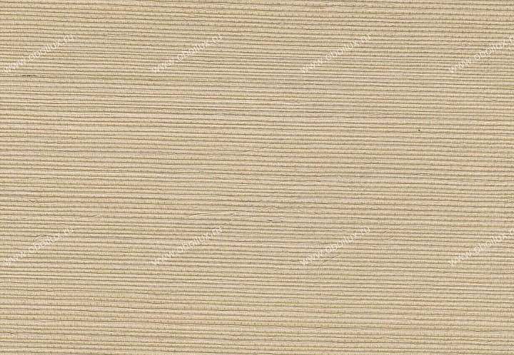 Обои York Silvercord V SC5813