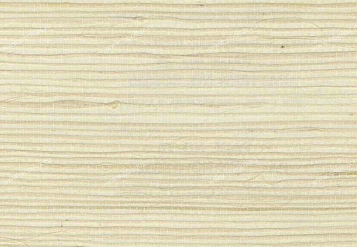 Обои York Silvercord V SC5825