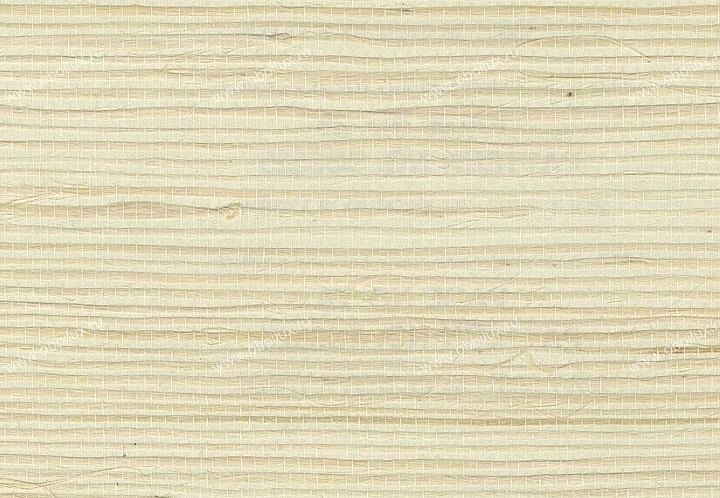 Обои York Silvercord V SC5825