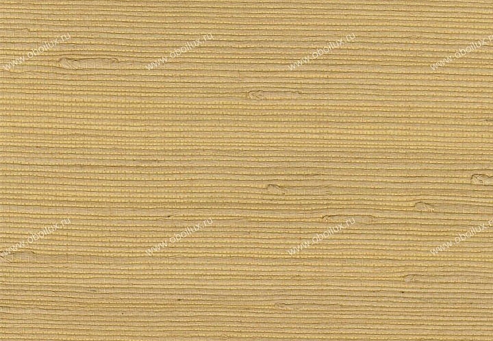 Обои York Silvercord V SC5837