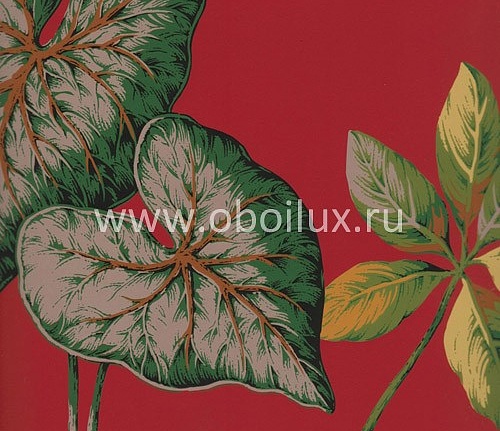Обои York Antonina Vella - Botanica VB6702