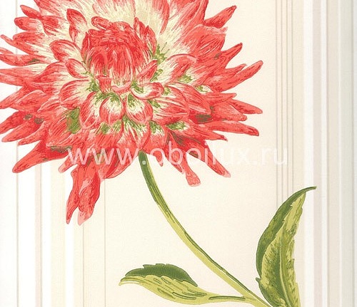 Обои York Antonina Vella - Botanica VB6744