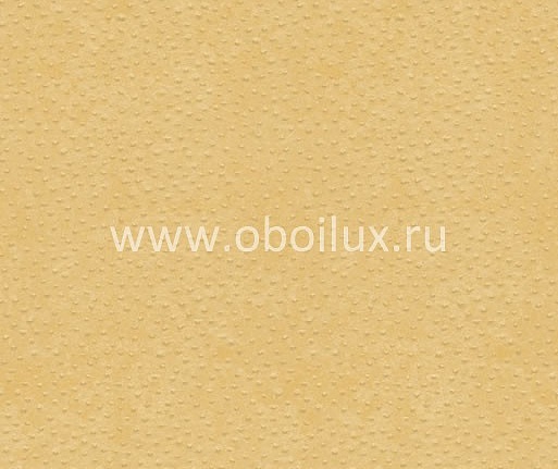 Обои York Ronald Redding - Designer Backgrounds II DS1117