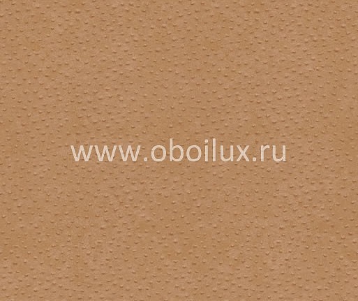 Обои York Ronald Redding - Designer Backgrounds II DS1118