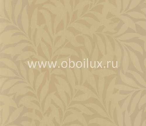 Обои York Ashford House - Flowers S.E. DL0706