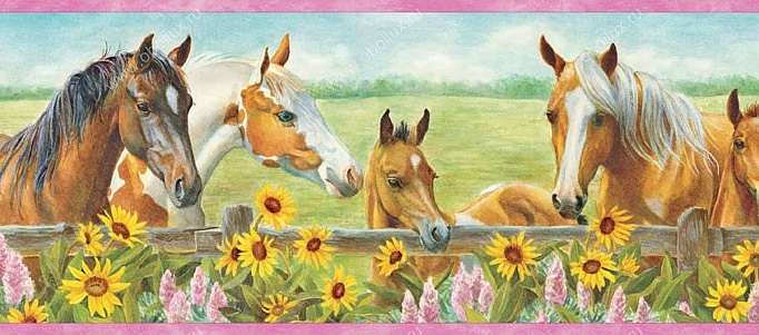 Обои Chesapeake Girls Rule GIR92073