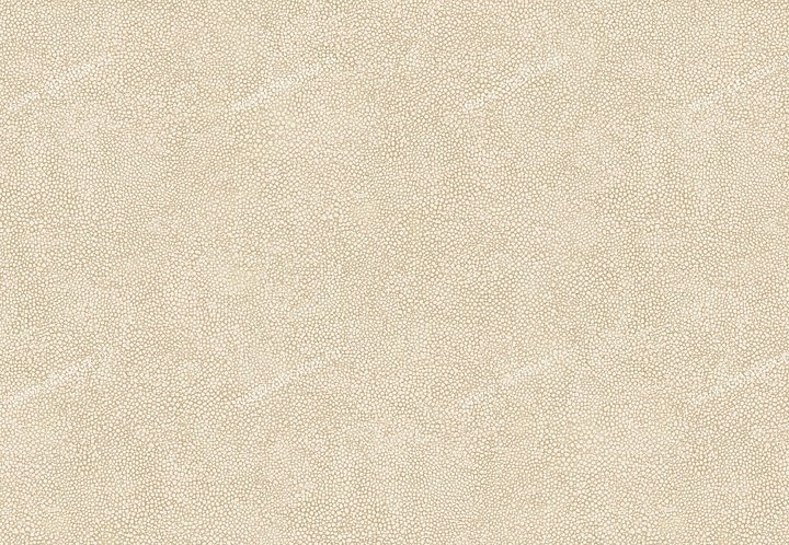 Обои Chesapeake Modern Living MLV34045