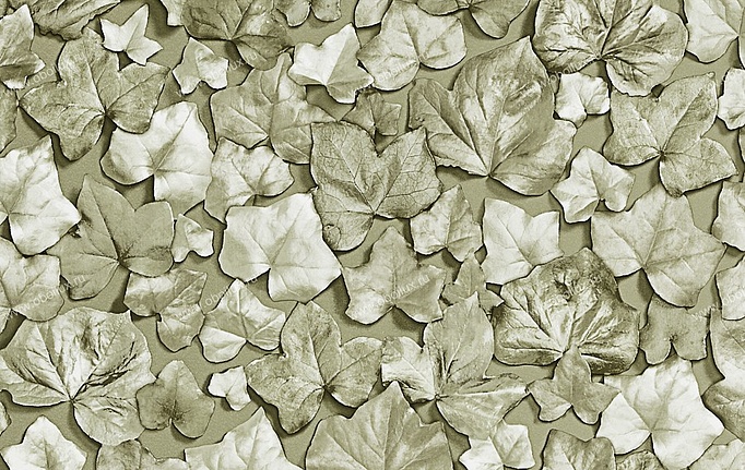 Английские обои Zoffany, коллекция Quartz, артикул 310980