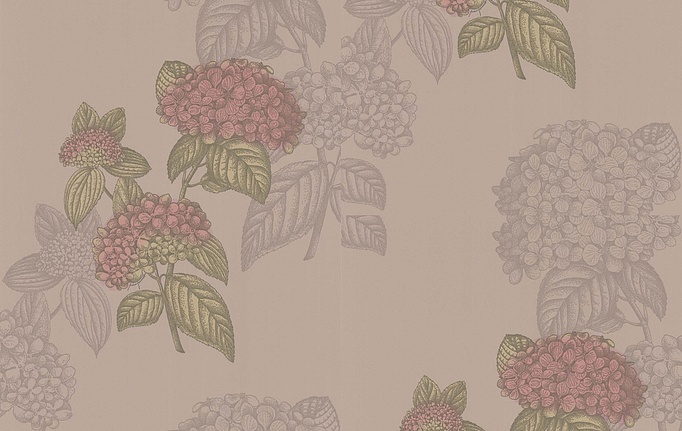 Английские обои Cole & Son, коллекция Fornasetti, артикул 77/10039