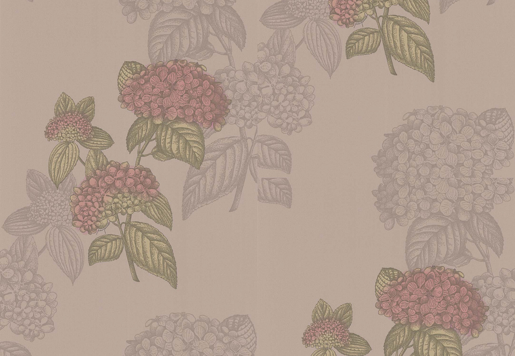 Обои Cole & Son Fornasetti 77/10039