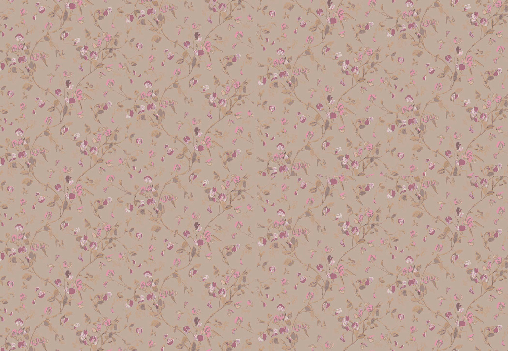 Обои Cole & Son Collection of Flowers 81/11045
