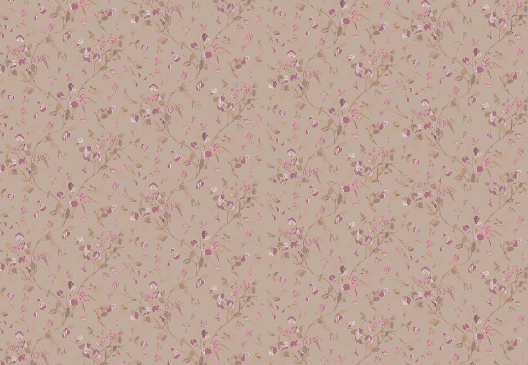 Обои Cole & Son Collection of Flowers 81/11045