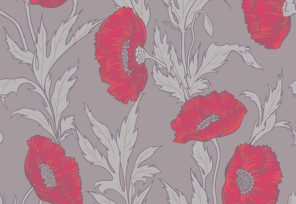 Обои Cole & Son Collection of Flowers 81/1001