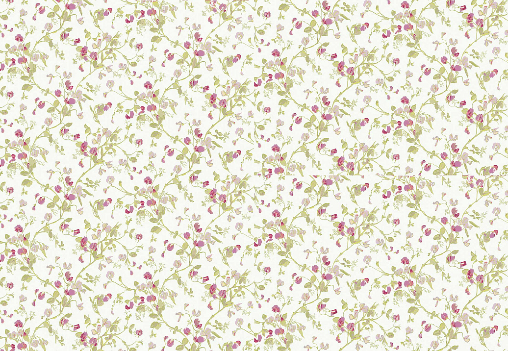 Обои Cole & Son Collection of Flowers 81/11048