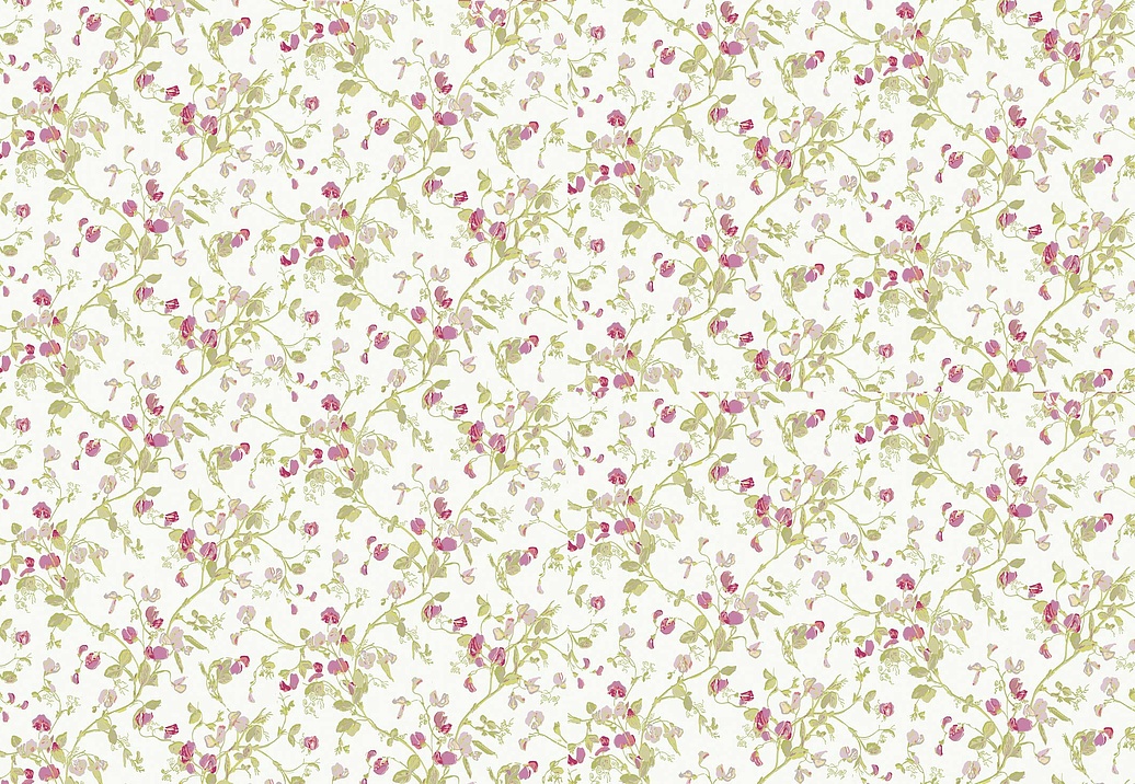 Обои Cole & Son Collection of Flowers 81/11048