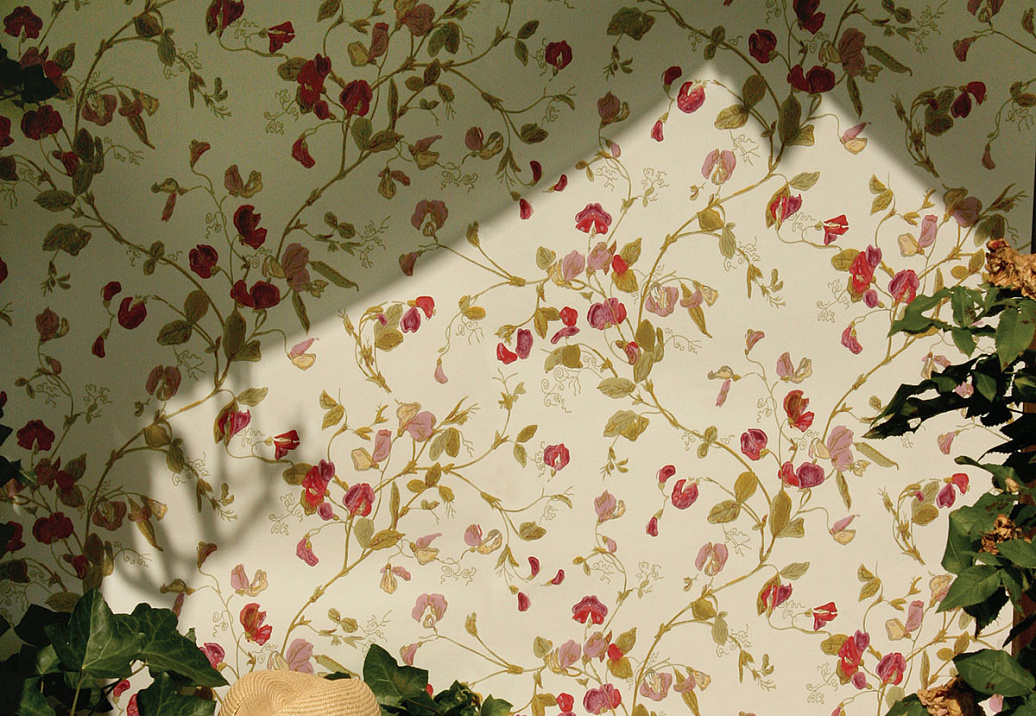 Обои Cole & Son Collection of Flowers 81/11048