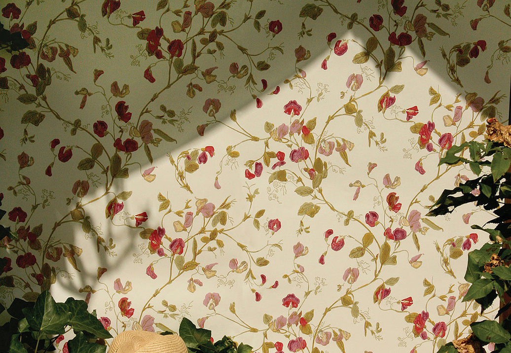 Обои Cole & Son Collection of Flowers 81/11048