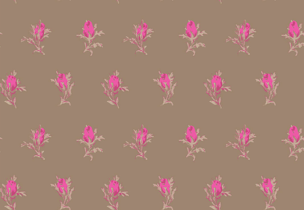 Обои Cole & Son Collection of Flowers 81/4017