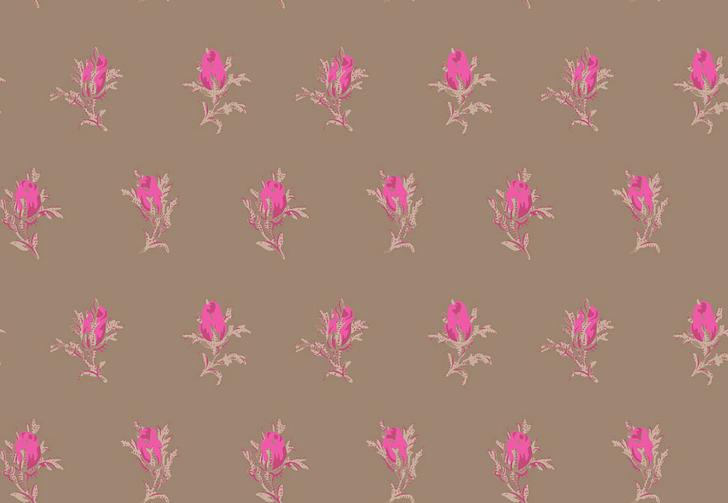 Обои Cole & Son Collection of Flowers 81/4017