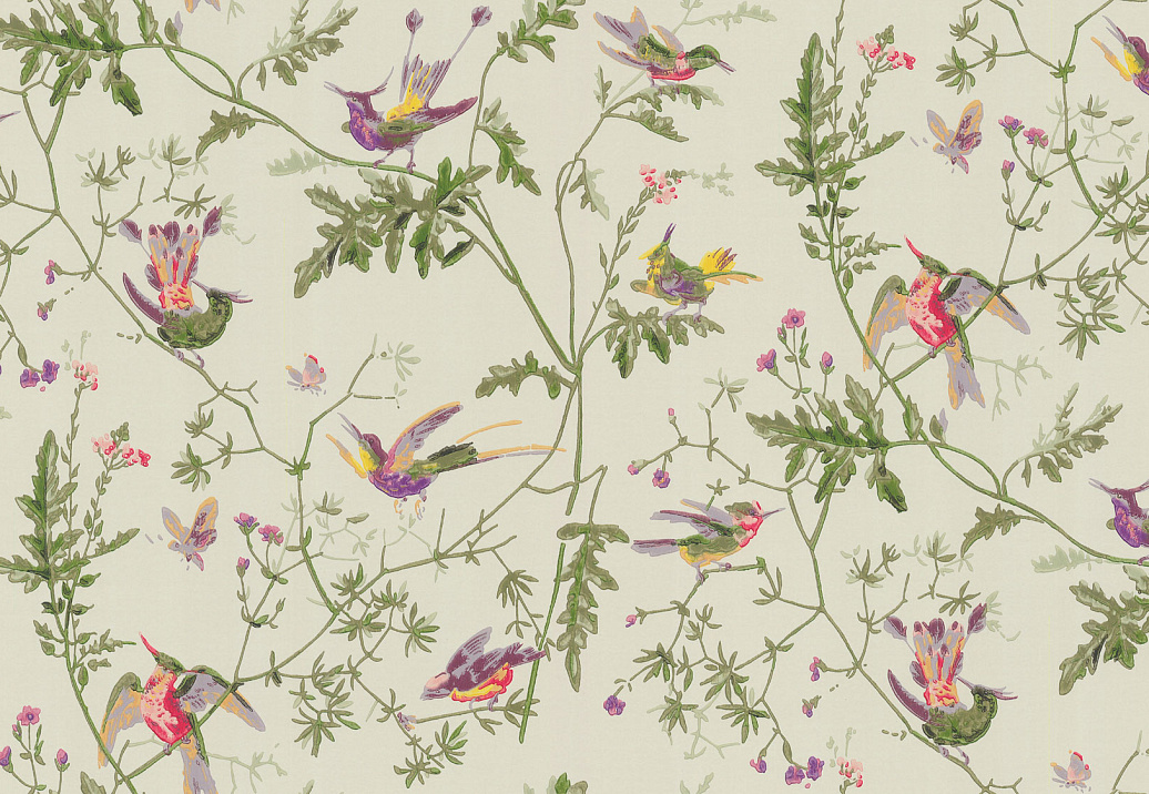 Обои Cole & Son Collection of Flowers 62/1002