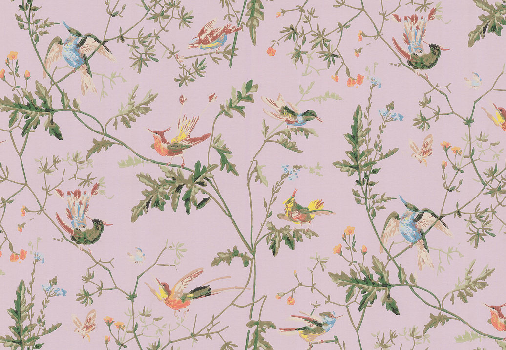 Обои Cole & Son Collection of Flowers 62/1003