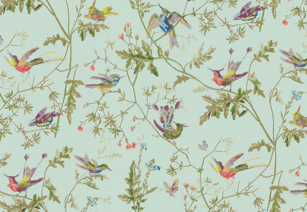 Обои Cole & Son Collection of Flowers 62/1004