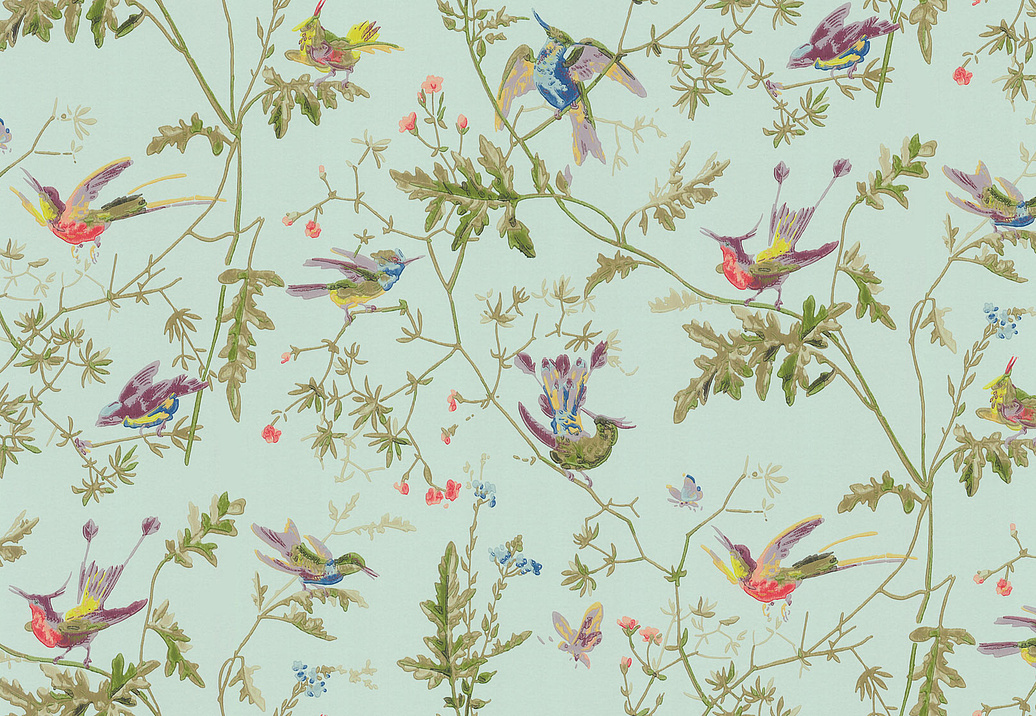 Обои Cole & Son Collection of Flowers 62/1004