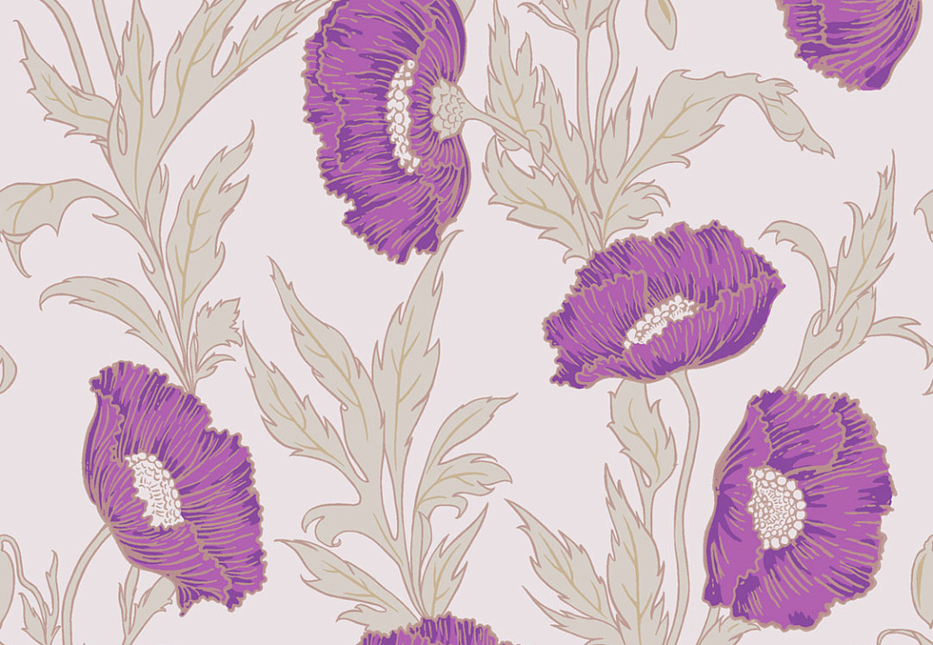 Обои Cole & Son Collection of Flowers 81/1002