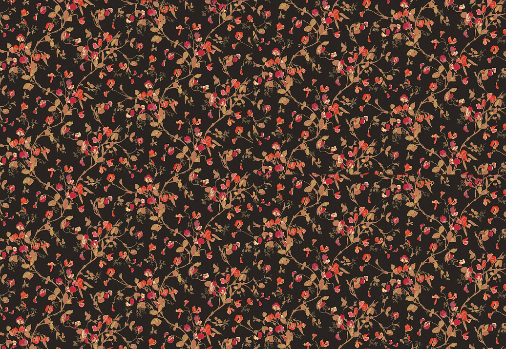 Обои Cole & Son Collection of Flowers 81/11046