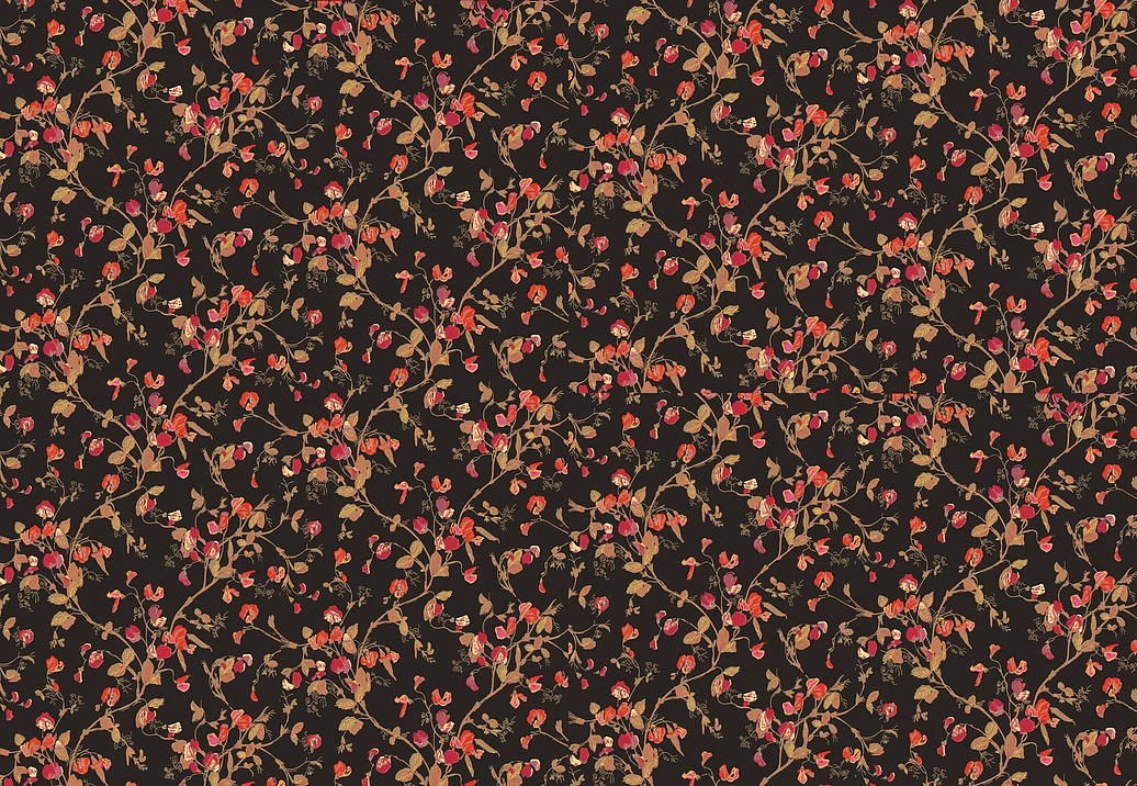 Обои Cole & Son Collection of Flowers 81/11046