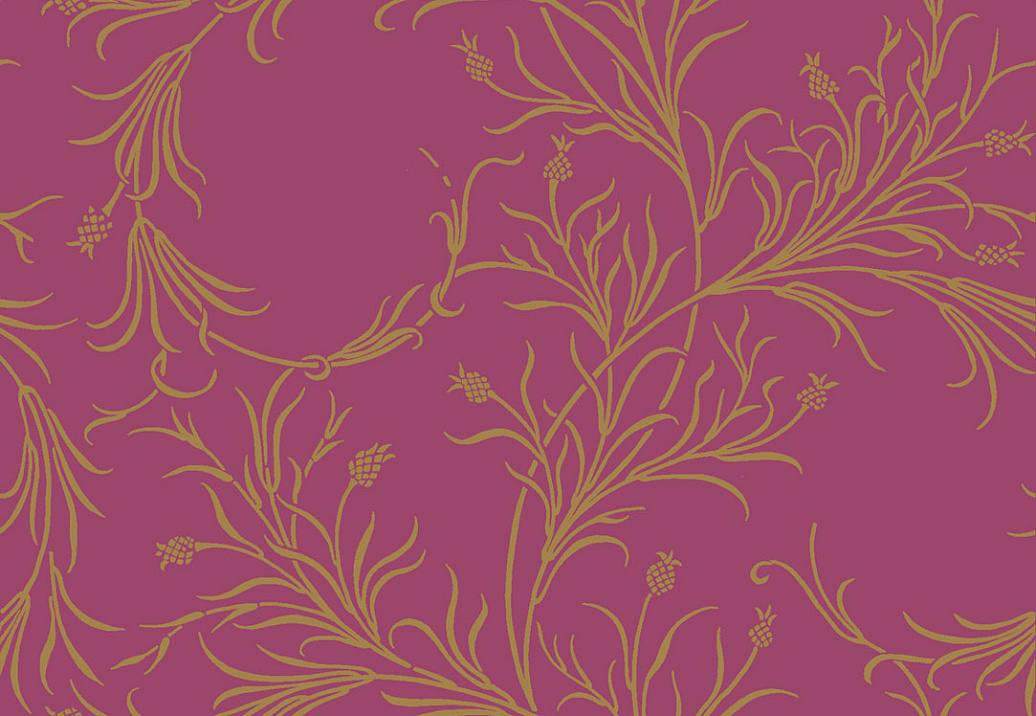 Обои Cole & Son Collection of Flowers 81/12052