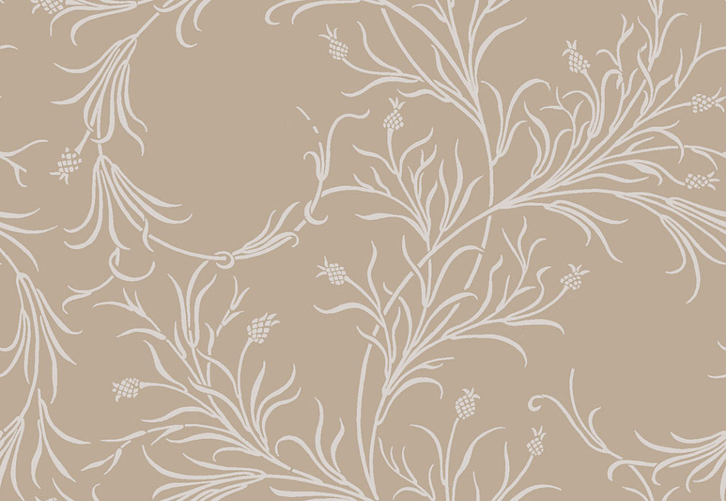 Обои Cole & Son Collection of Flowers 81/12054