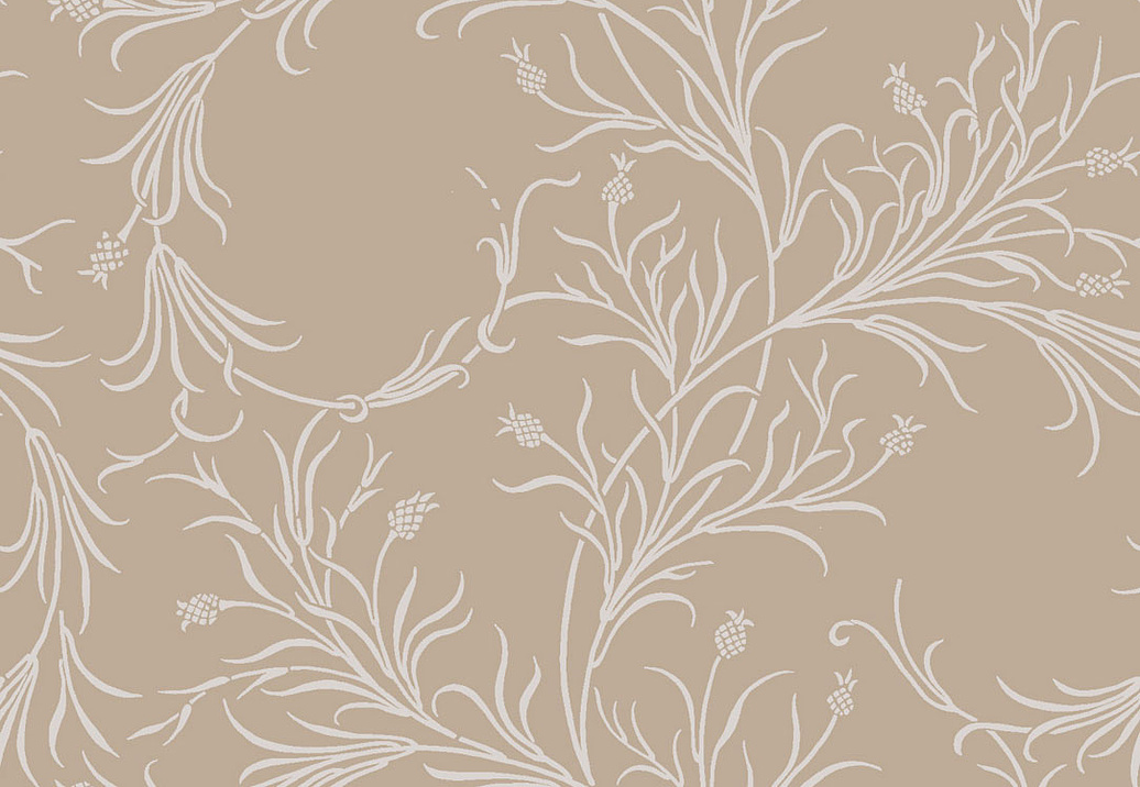 Обои Cole & Son Collection of Flowers 81/12054