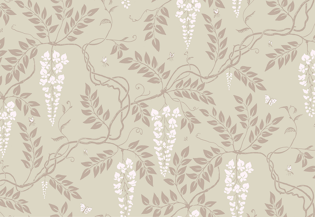 Обои Cole & Son Collection of Flowers 81/13056