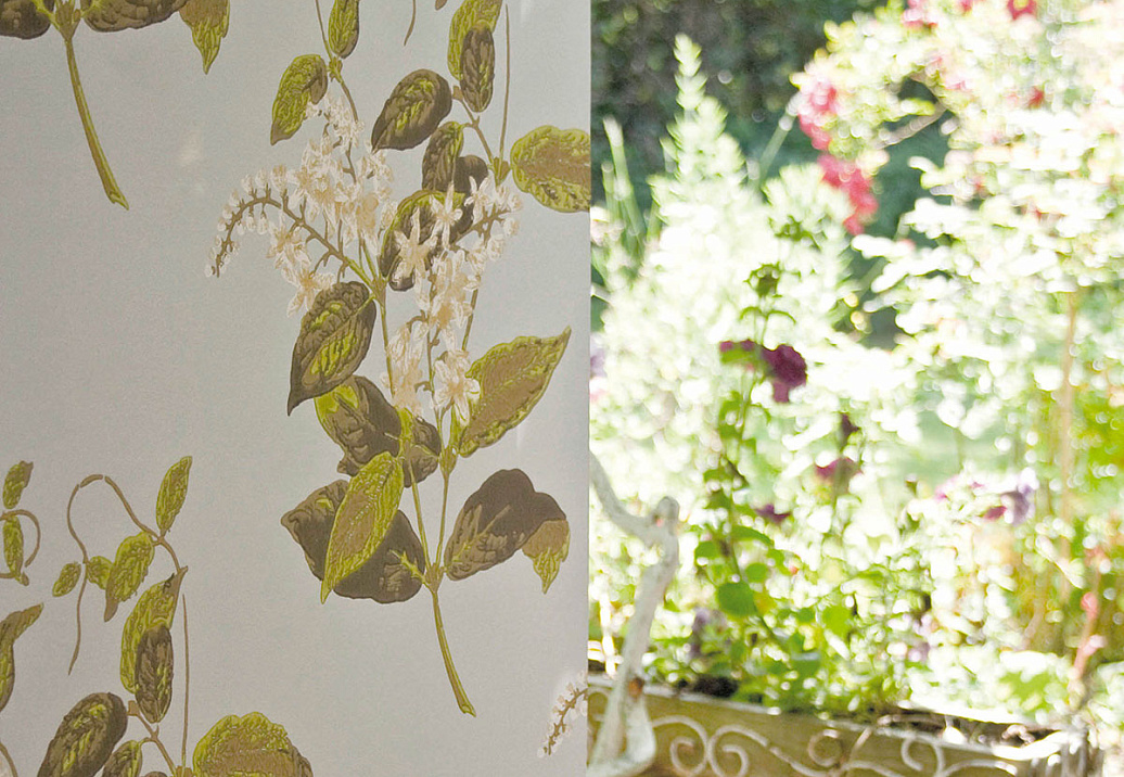 Обои Cole & Son Collection of Flowers 81/6023
