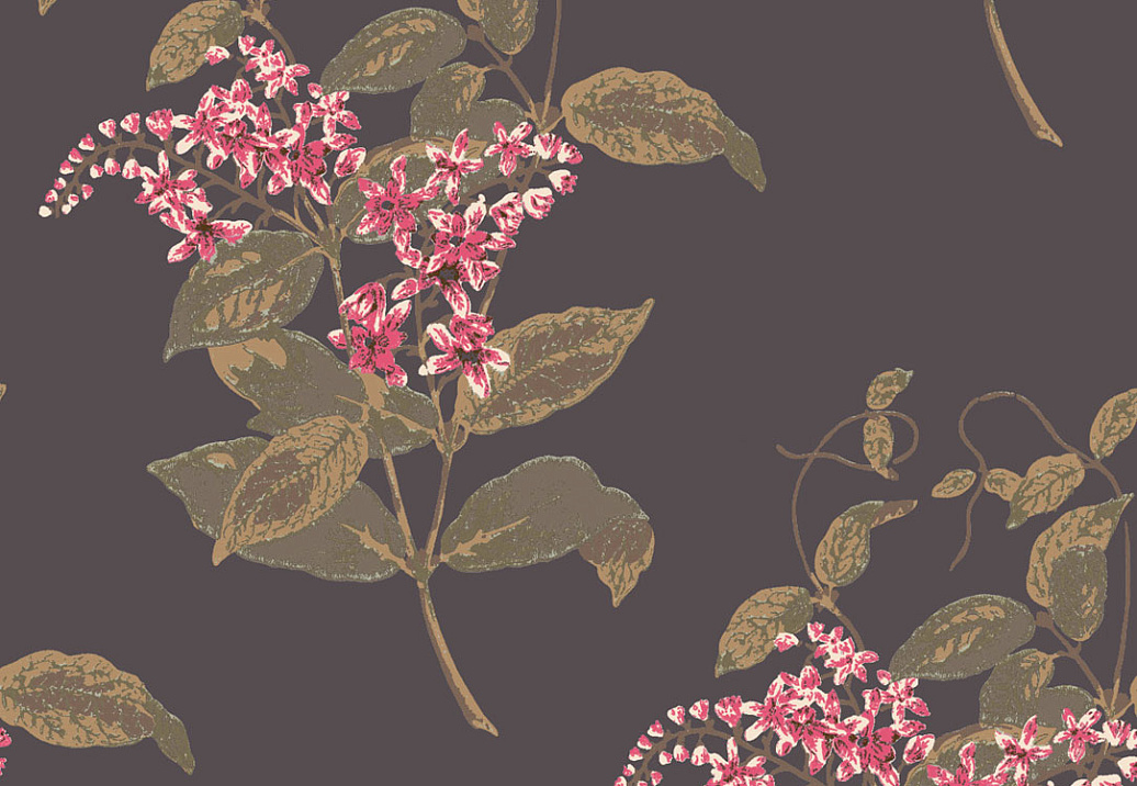 Обои Cole & Son Collection of Flowers 81/6024