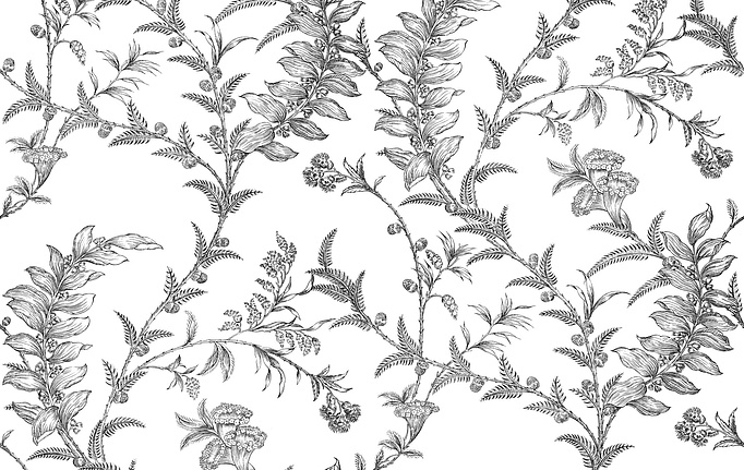 Английские обои Cole & Son, коллекция Archive Traditional, артикул 88/1005