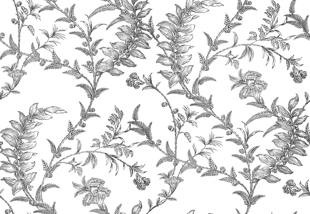 Обои Cole & Son Archive Traditional 88/1005