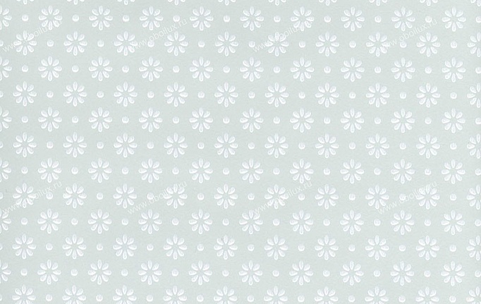 Английские обои Cole & Son, коллекция Charlie Wilson, артикул 80/8041