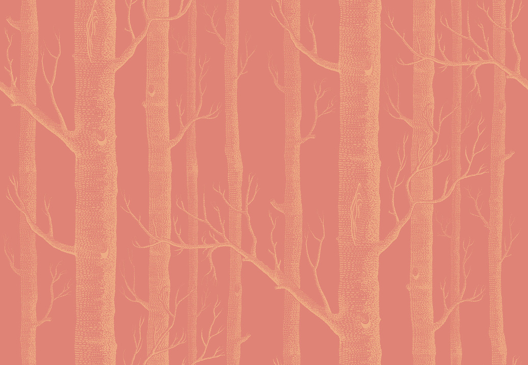 Обои Cole & Son New Contemporary 2 69/12146