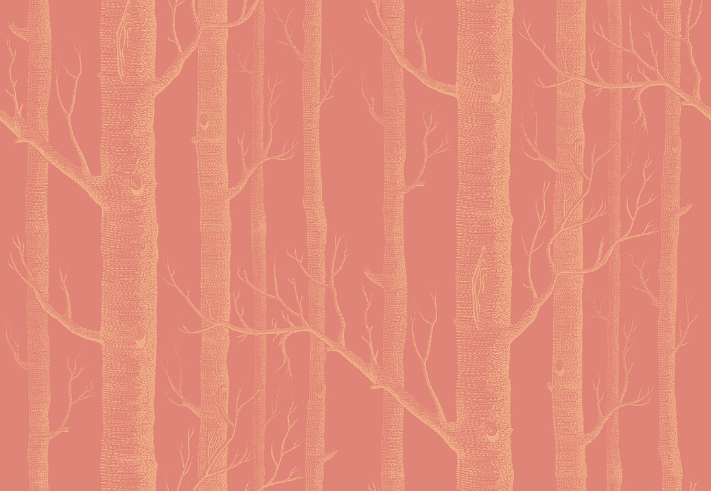 Обои Cole & Son New Contemporary 2 69/12146