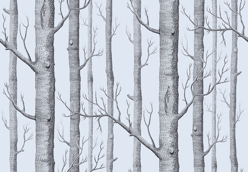 Обои Cole & Son New Contemporary 2 69/12150